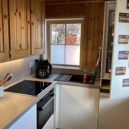 Jonathan Eg Sued Appartement-fewo- Dusche- Wc 2 1-2 Zimmerwohnung- 5-betten By Interhome Appartement Riederalp